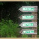 명가 사계절휴양지 이미지