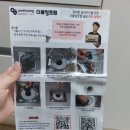 이황솔루션 이미지