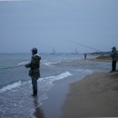 송백농장2 이미지