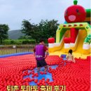 [6월여행지] 제24회 퇴촌 토마토 거리축제 6월 21일 일요일 일정·주차장·시간표 총정리