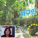 헛개랑생태랑