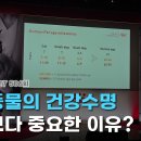 삼돈메디칼 데일리벳