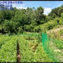 주생면 낙동마을 이미지