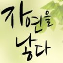 그레이스선물의집