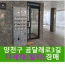 신월동135 이미지