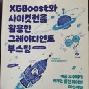 부스팅 미디어