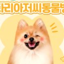 키다리아저씨동물병원