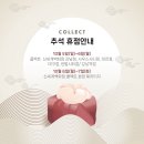 콜렉트센텀 이미지