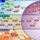 루게릭병 초기 원인 진단 (근위축성측색경화증, ALS) 이미지