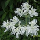 서광초등학교 이미지