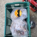 함양흑염소 이미지