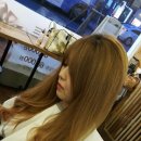 한준우 카카오 검색결과