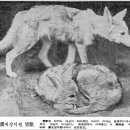 유신목장 이미지