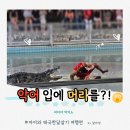 종일농장 | 파타야 가볼만한곳 추천 악어농장 악어쇼 아이와 가족 체험 후기