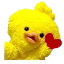 이클리프 이미지