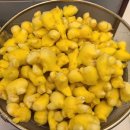 덕촌농장 이미지