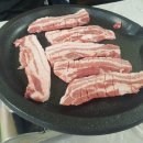 싱싱포크 이미지