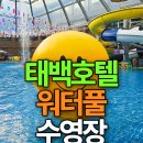 스마일 무인호텔 | 태백호텔 수영장 워터풀 솔직 후기 슬라이드와 사우나까지