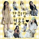 출근룩을 보자보자 어디보자~ (강아지 동반출근/강아지 커플룩)