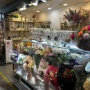 원종인의Flower 이미지
