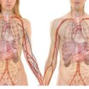 조은 행정사 사무소 이미지