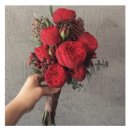 스타피아노 | 아무도 안 하는 붉은 레드 피아노로즈 부케 후기 - 25 FW 트렌드였다니! 🌹