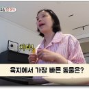 라이프린