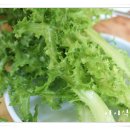 정통옛날쌈밥 이미지