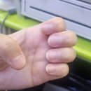울산 네일 성남동 예다움 물어뜯는 손톱 고치기 내돈내산 후기(강아지 동반 가능)