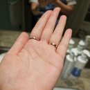 인퓨즈드 | 손상모 헤어 에센스 추천 어던앤코 하이드로인퓨즈드 볼륨 헤어에센스 후기