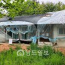 장성종가집
