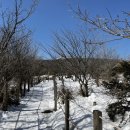 이룸 행정사 사무소 이미지