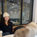 아이조아 캣파크 서울점 이미지