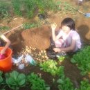 기쁨농장 이미지