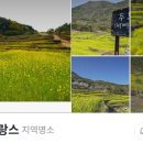 남해-137 이미지