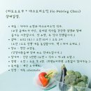 비로소요가