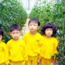 현준농장 이미지