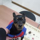 신월동002 이미지