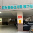 피터펫 애견카페 부산북구점 이미지