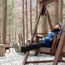 좋은글 - 삶의 아침인사 - 이미지