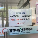 숲속의 둥지 | 함양 대봉캠핑랜드 예약, 숲속의집 솔향기둥지 5호 숙박 후기