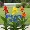 안동장 티스토리