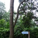 샘재로 4 이미지