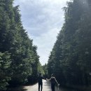 제일목장(2) 이미지