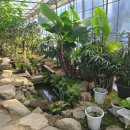 동천한증막 이미지