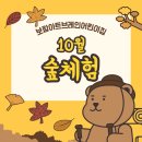 보람아트브레인어린이집 이미지