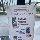온실속베니 이미지