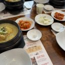 황금버섯 | [안산 신길동] 백세 삼계탕 | 황금빛 노란 상황버섯 삼계탕 추천 후기