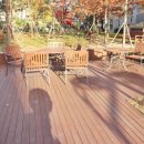 새뜸초등학교 이미지