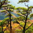 광릉금리원 이미지